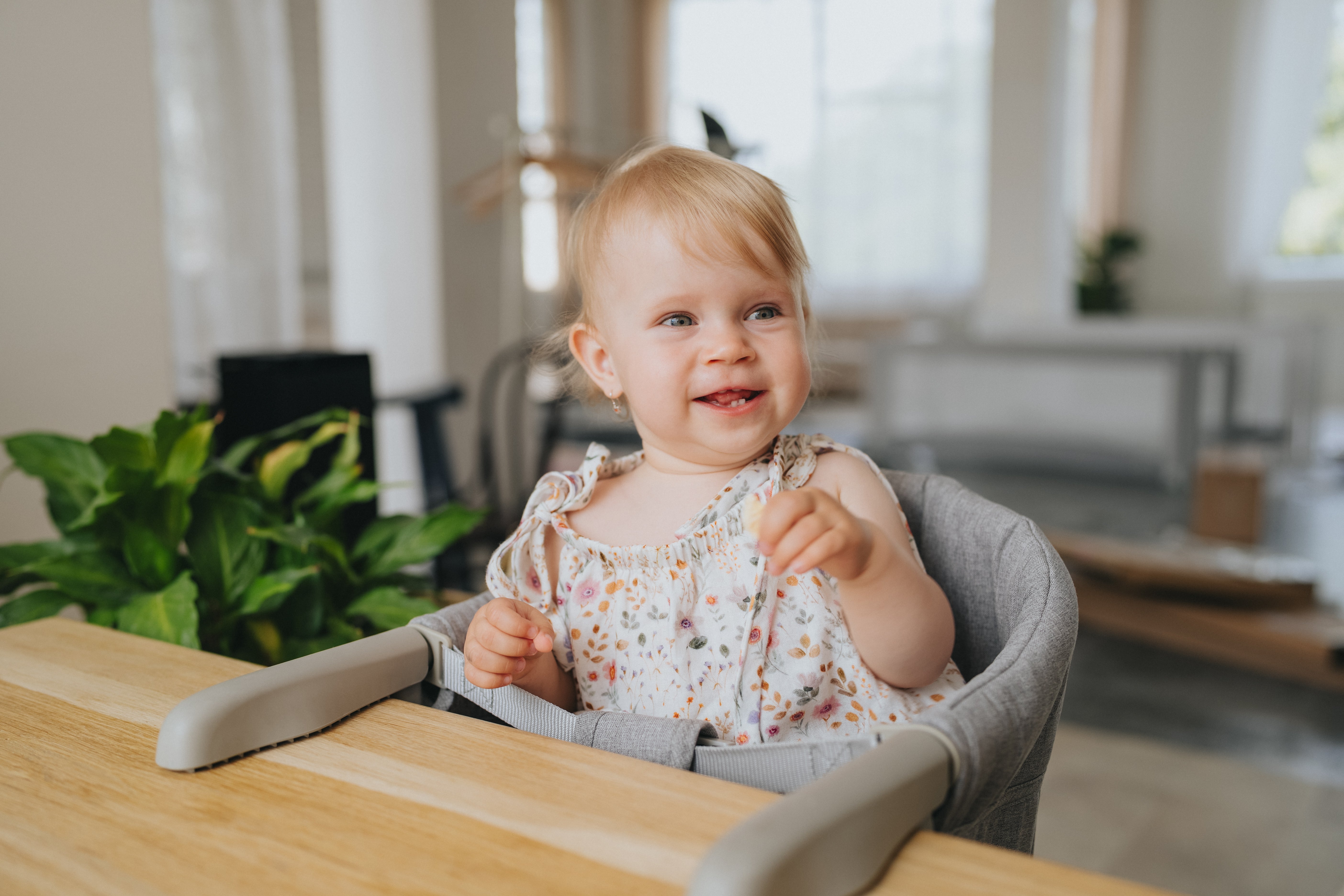 Travel high chair Monkey Mum® - gray